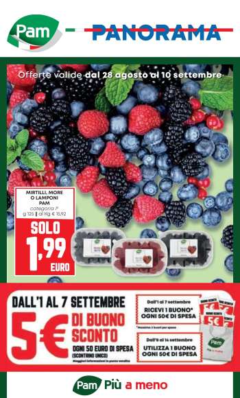 Volantino Pam Panorama - 28/8/2025 - 10/9/2025.