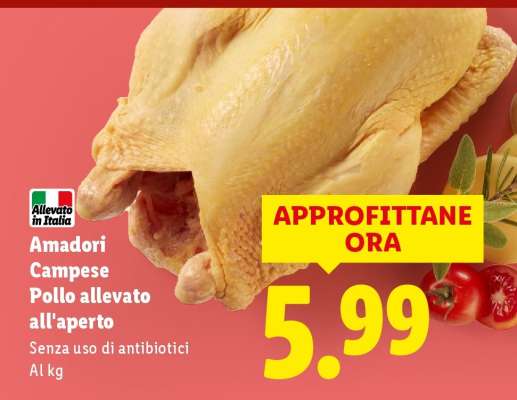 Amadori Campese Pollo allevato all'aperto