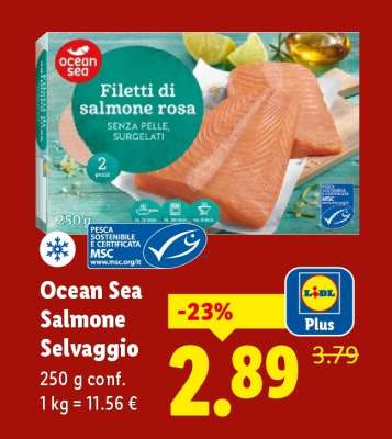 Ocean Sea Salmone Selvaggio