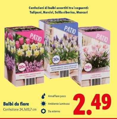 Bulbi da fiore