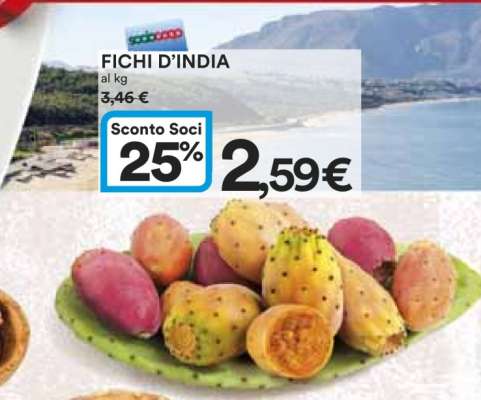 Fichi D'India