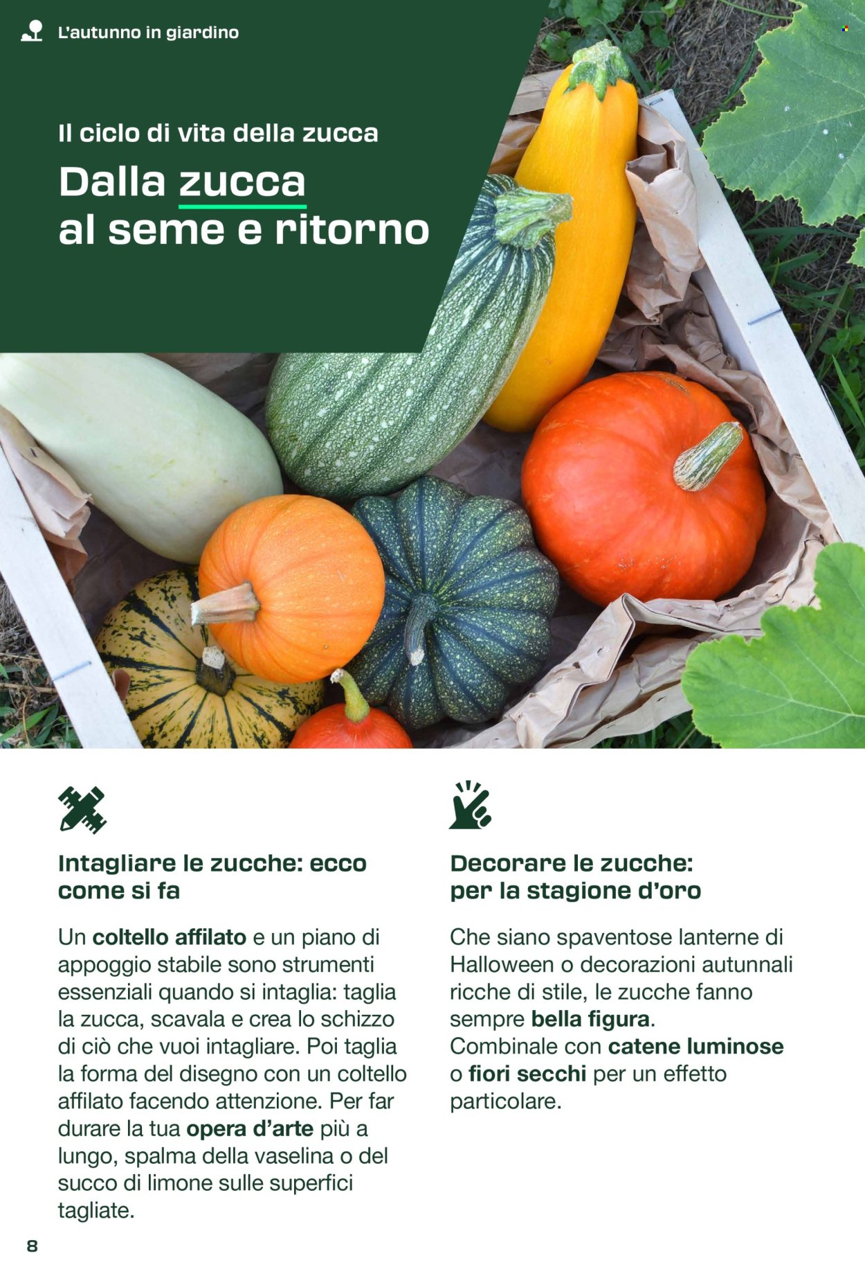 Volantino Lidl. Pagina 8