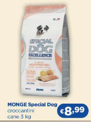 MONGE Special Dog