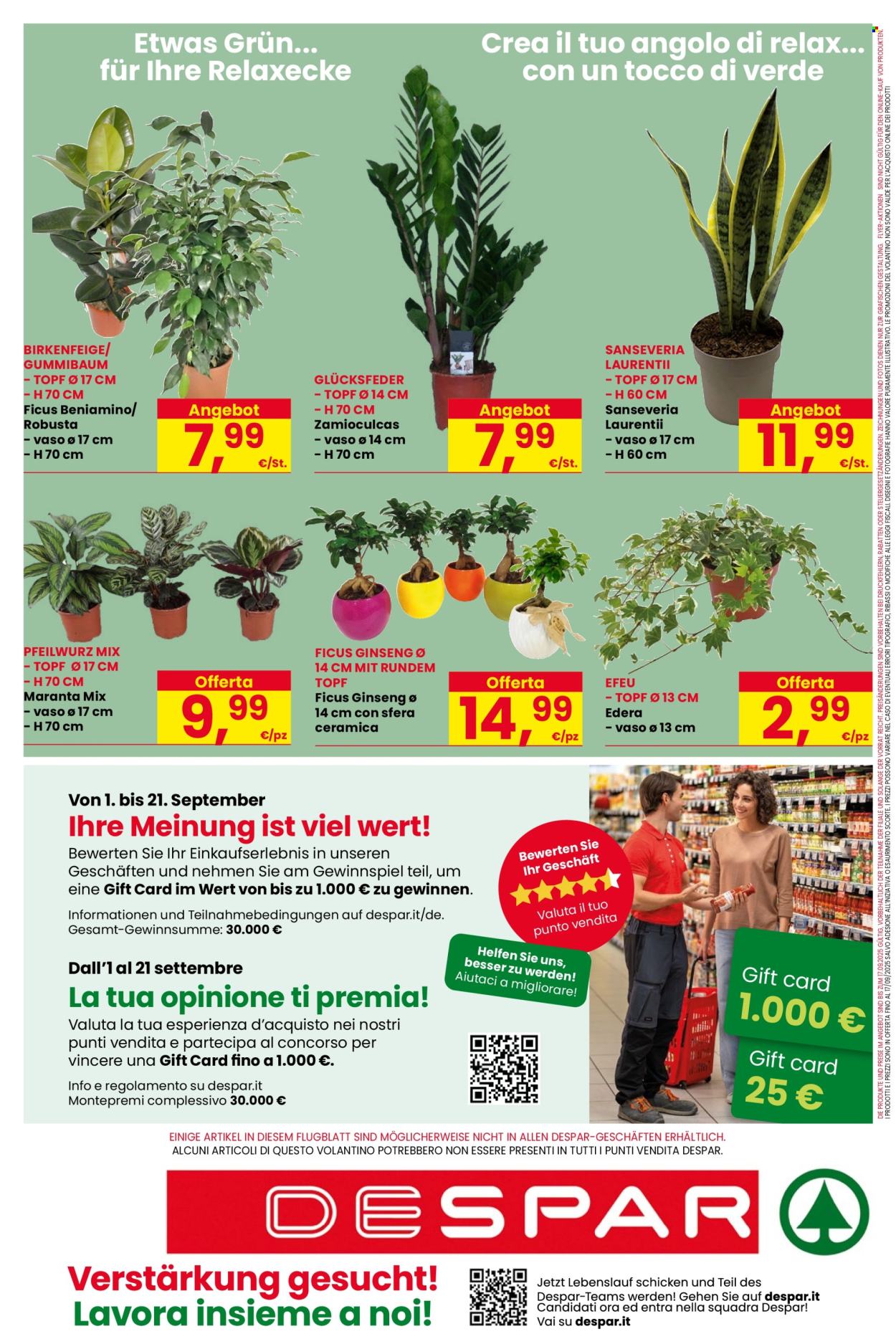 Volantino Despar - 4/9/2025 - 17/9/2025. Pagina 20