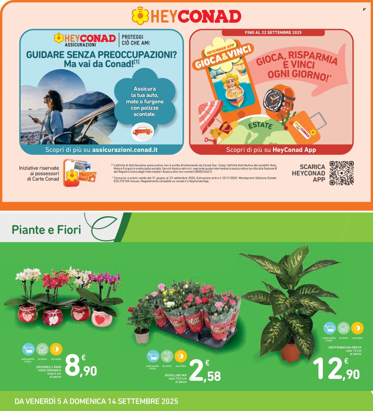 Volantino Spazio Conad - 5/9/2025 - 14/9/2025. Pagina 35