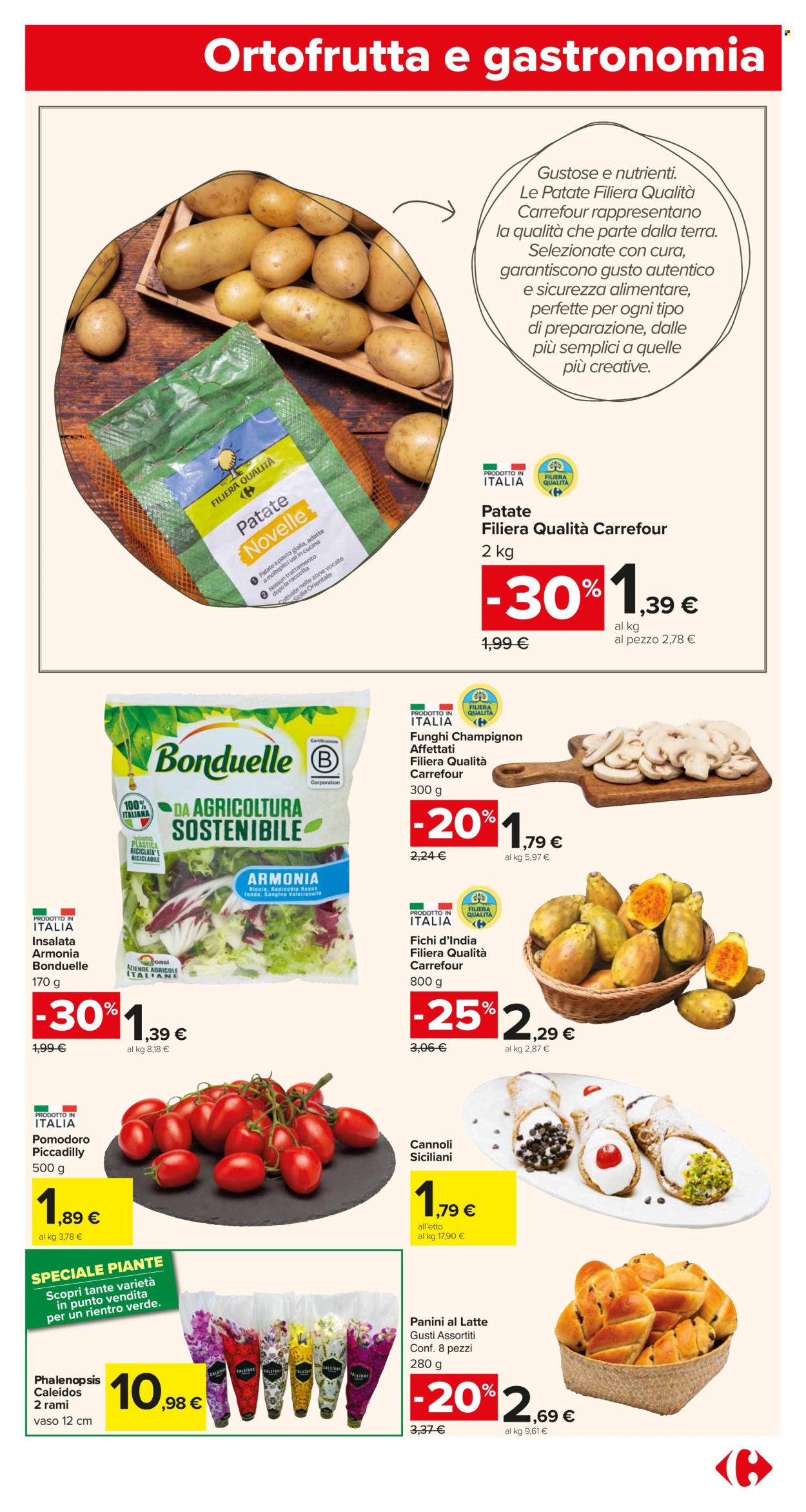 Volantino Carrefour - 5/9/2025 - 14/9/2025. Pagina 5