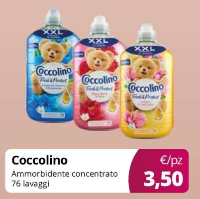 COCCOLINO