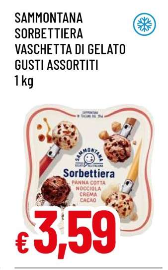 SAMMONTANA SORBETTIERA VASCHETTA DI GELATO GUSTI ASSORTITI