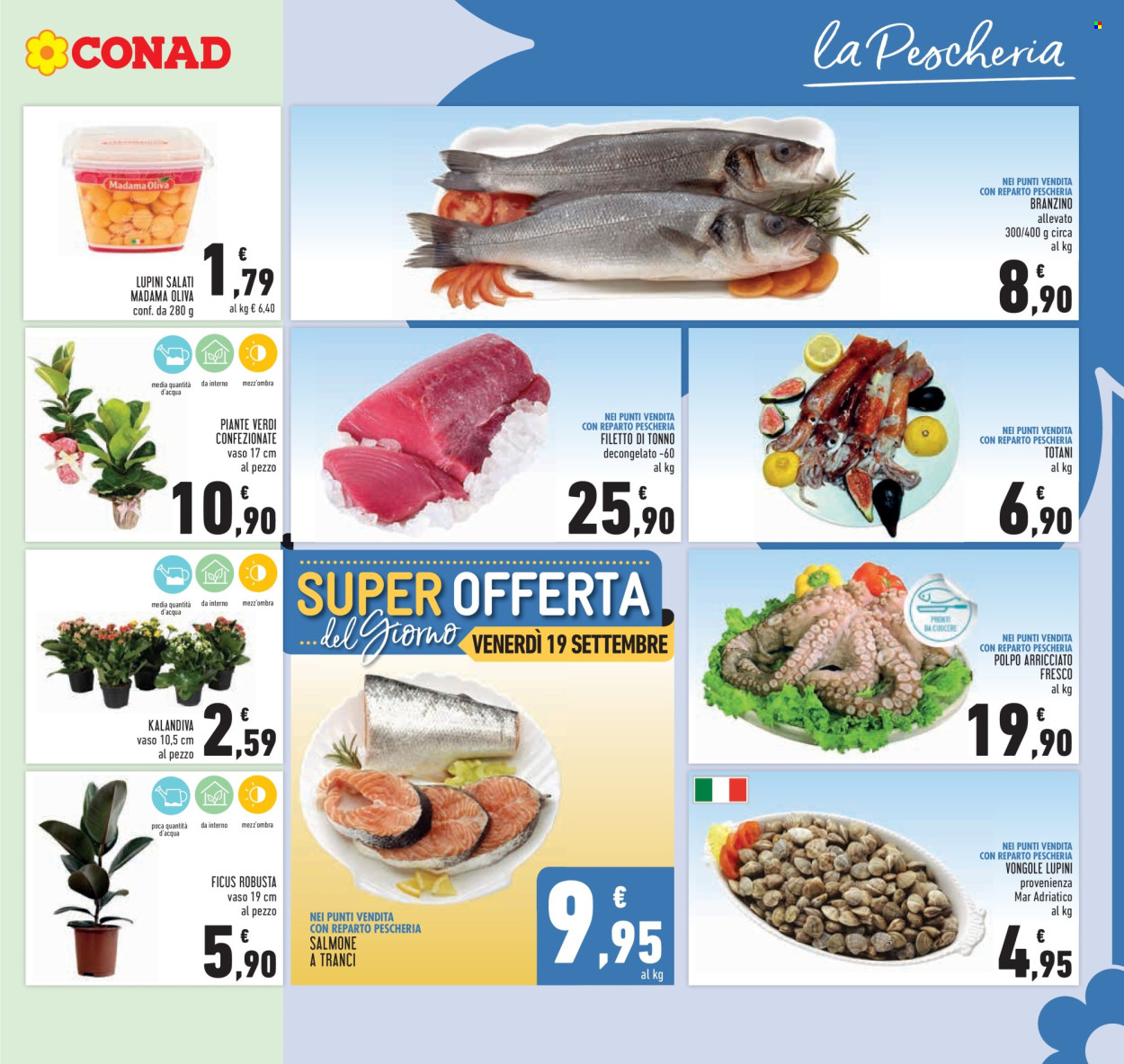 Volantino Conad - 10/9/2025 - 23/9/2025. Pagina 5