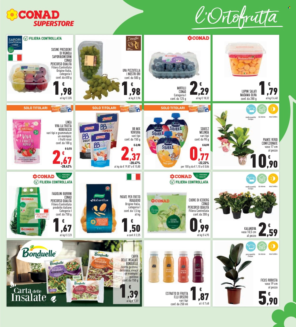 Volantino Conad - 10/9/2025 - 23/9/2025. Pagina 11