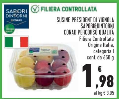 Susine President di Vignola