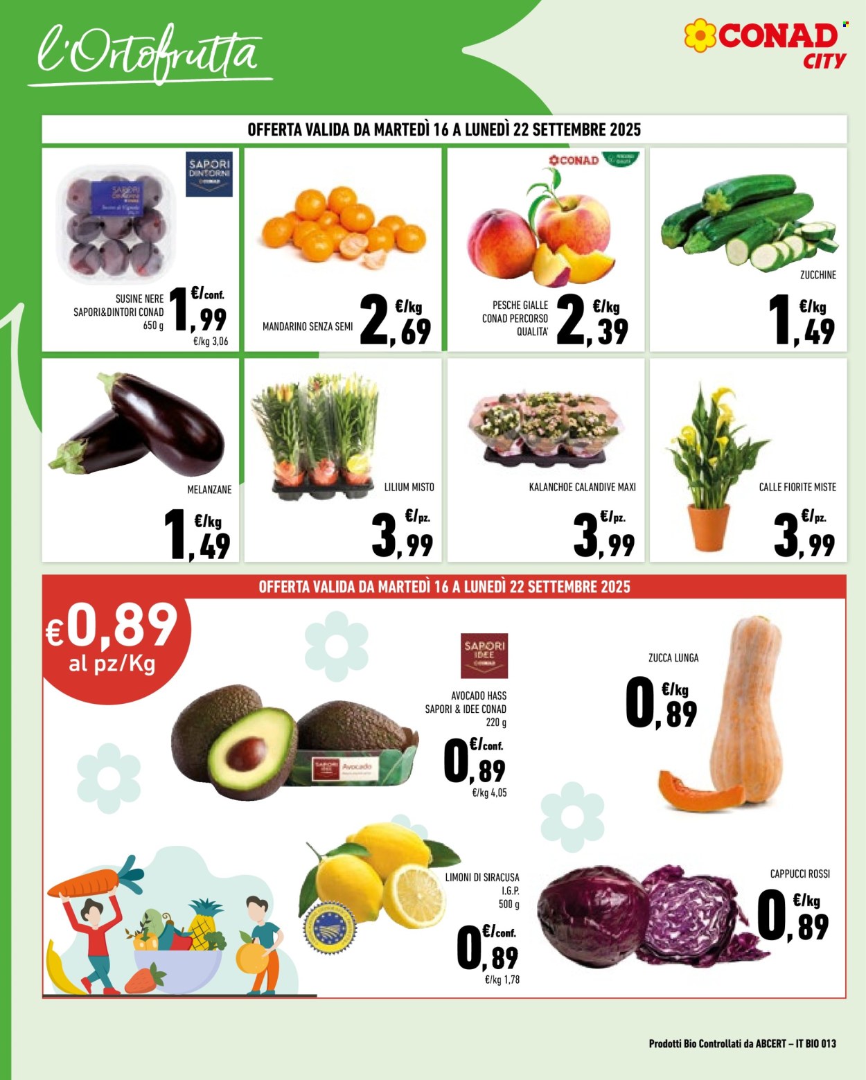 Volantino Conad City - 9/9/2025 - 22/9/2025. Pagina 4
