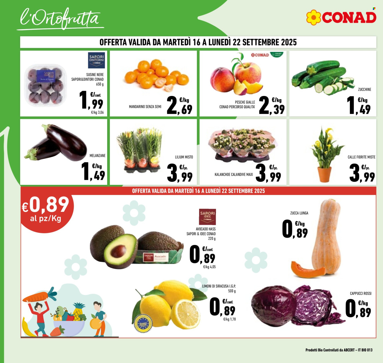 Volantino Conad - 9/9/2025 - 22/9/2025. Pagina 4