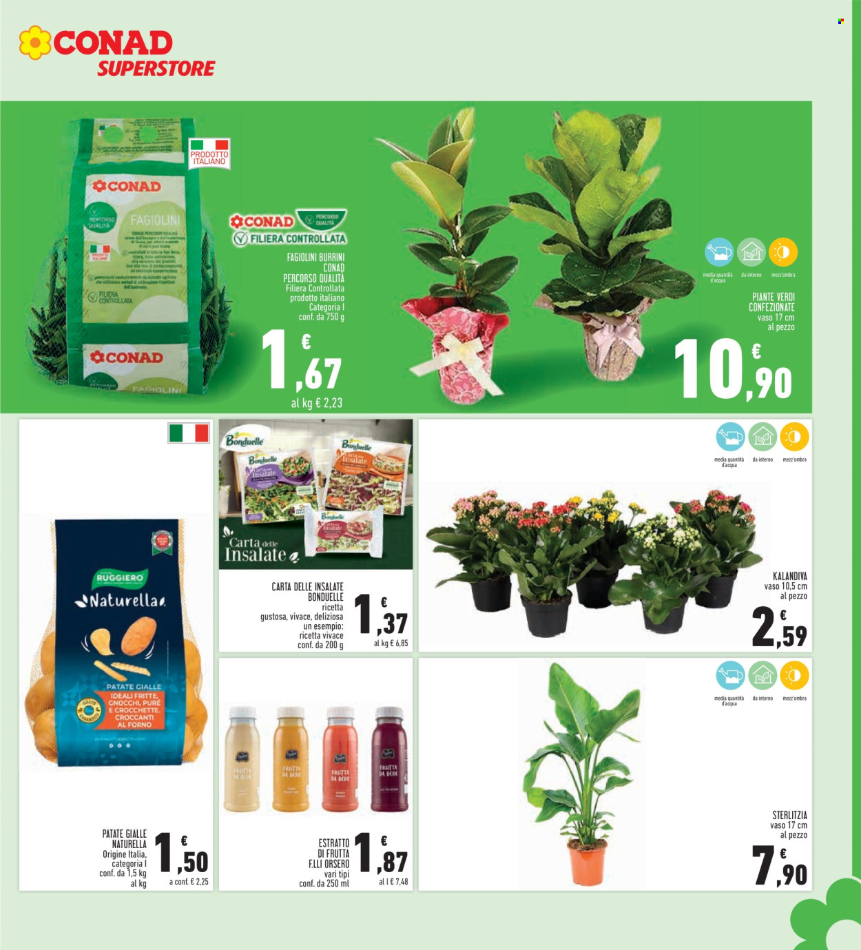 Volantino Conad - 11/9/2025 - 24/9/2025. Pagina 7