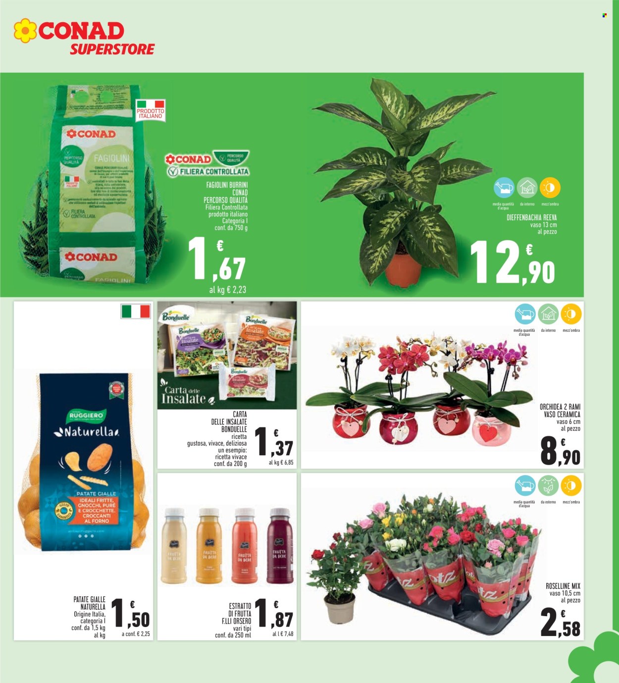Volantino Conad Superstore - 11/9/2025 - 24/9/2025. Pagina 7