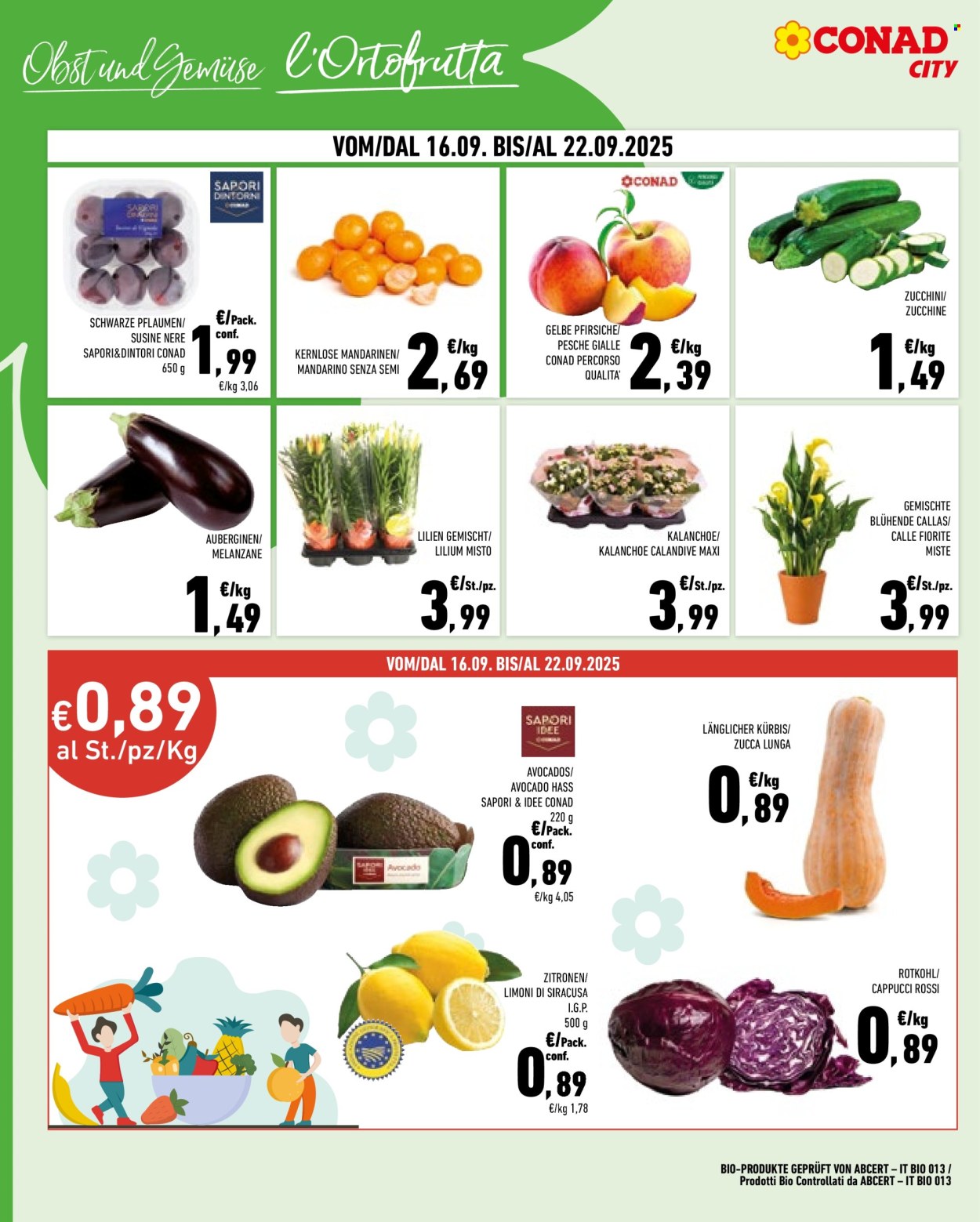 Volantino Conad City - 9/9/2025 - 22/9/2025. Pagina 4