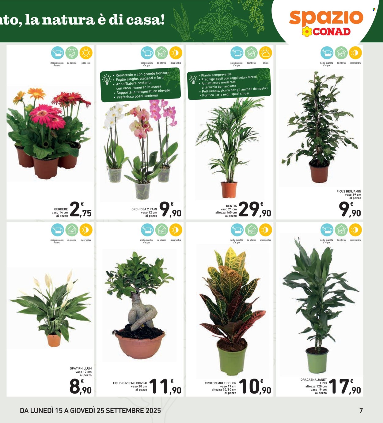 Volantino Spazio Conad - 15/9/2025 - 25/9/2025. Pagina 7