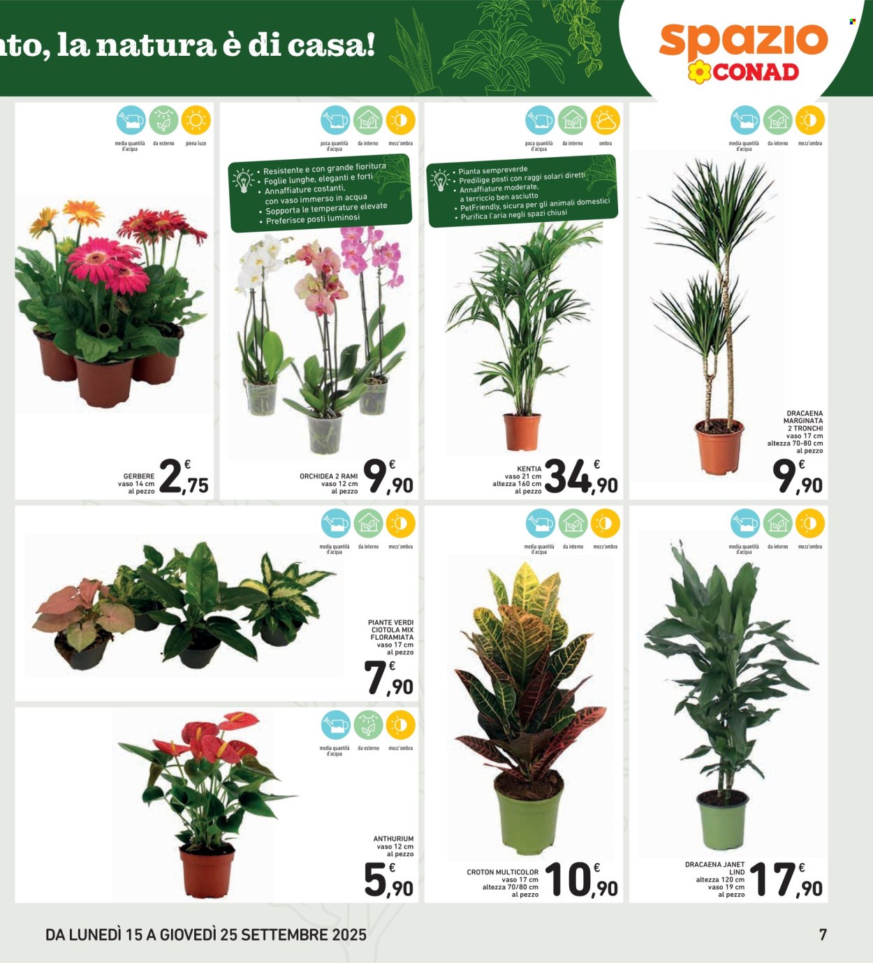 Volantino Spazio Conad - 15/9/2025 - 25/9/2025. Pagina 7