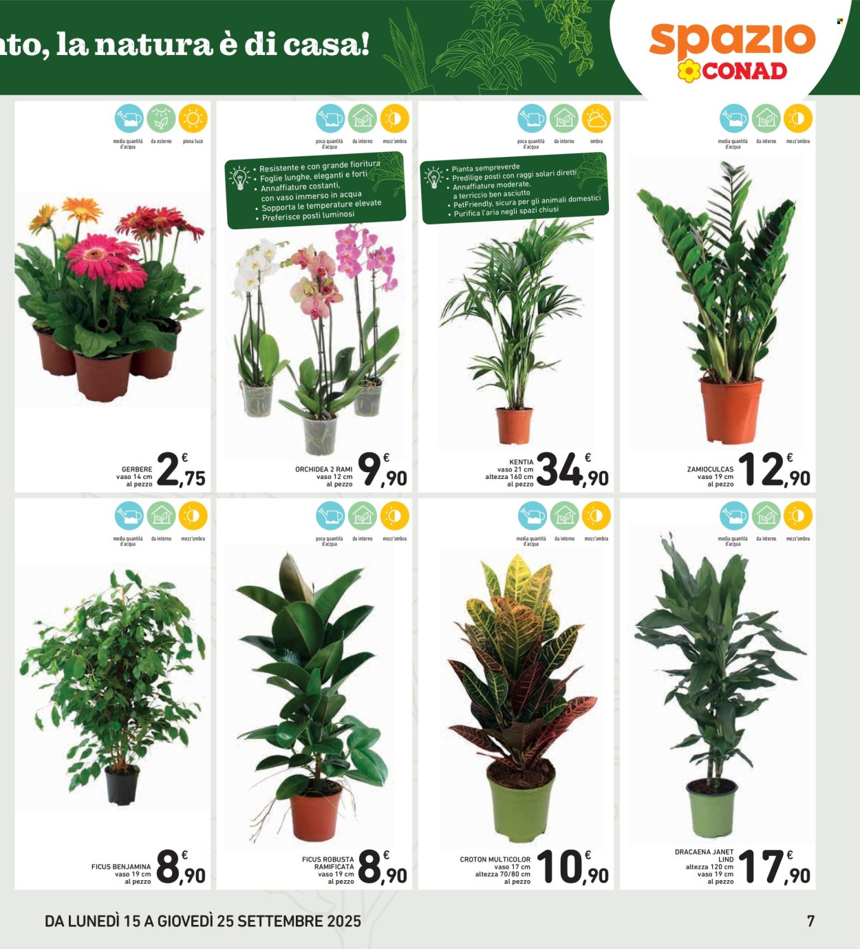 Volantino Spazio Conad - 15/9/2025 - 25/9/2025. Pagina 7