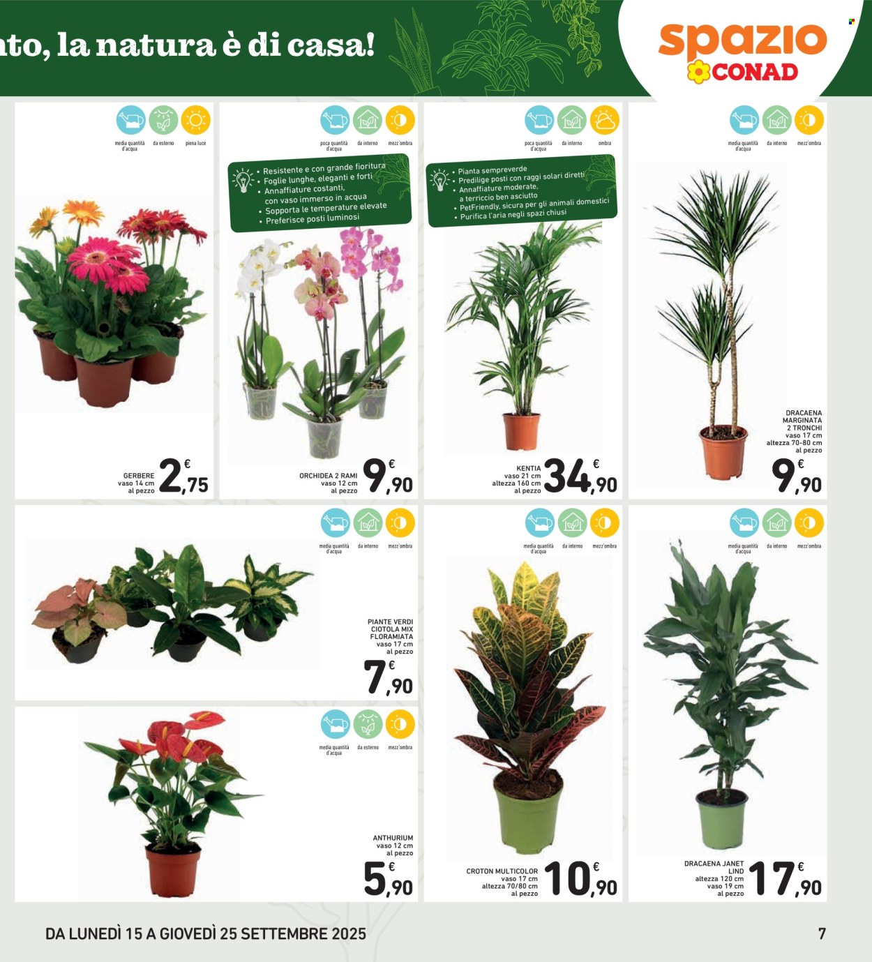 Volantino Spazio Conad - 15/9/2025 - 25/9/2025. Pagina 7