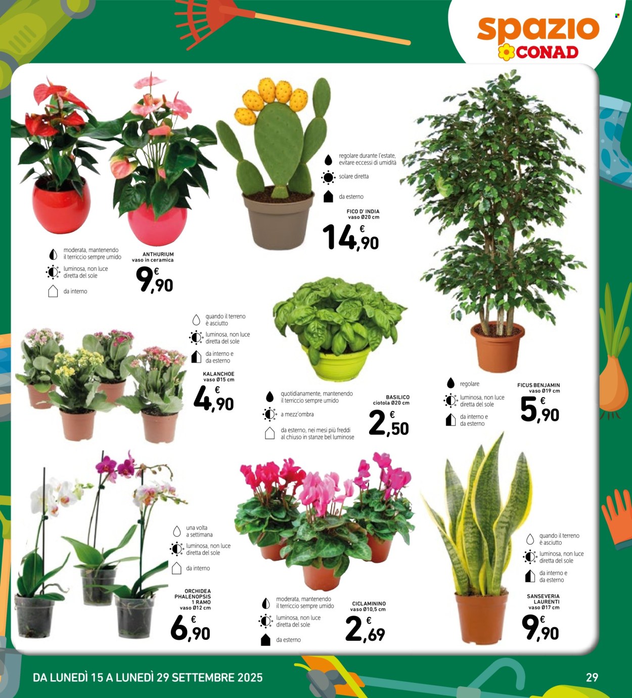 Volantino Spazio Conad - 15/9/2025 - 29/9/2025. Pagina 29