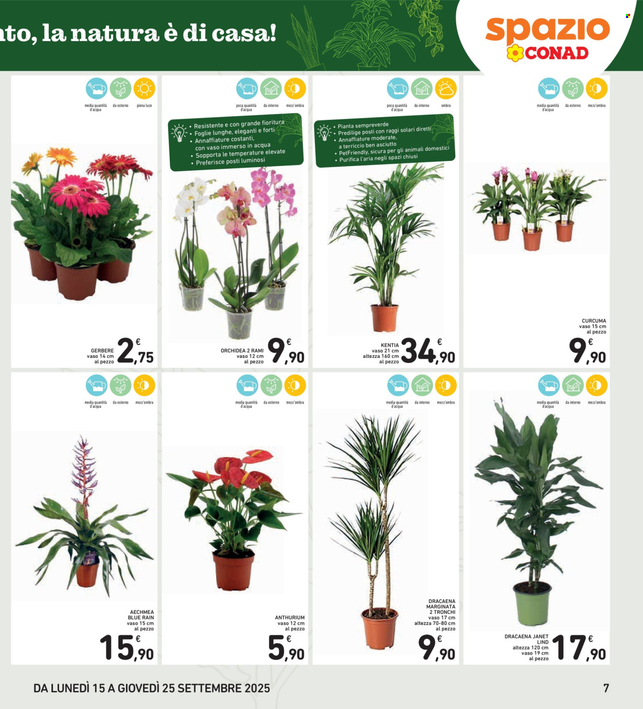 Volantino Spazio Conad - 15/9/2025 - 25/9/2025. Pagina 7