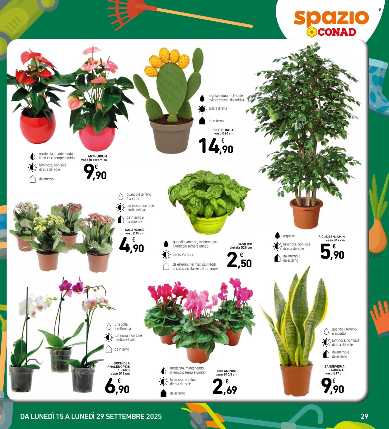 Volantino Spazio Conad - 15/9/2025 - 29/9/2025. Pagina 29