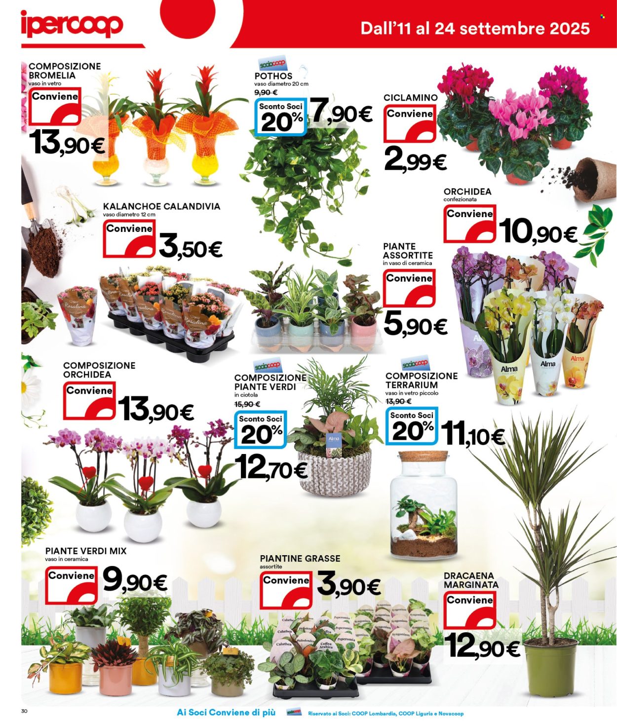 Volantino Coop - 11/9/2025 - 24/9/2025. Pagina 30