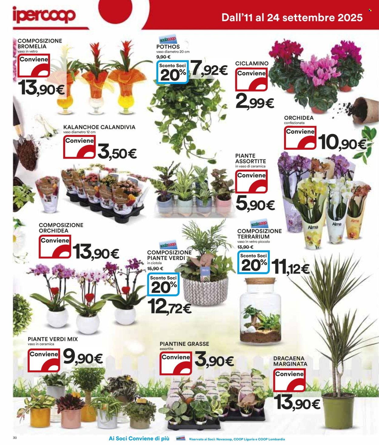 Volantino Coop - 11/9/2025 - 24/9/2025. Pagina 30