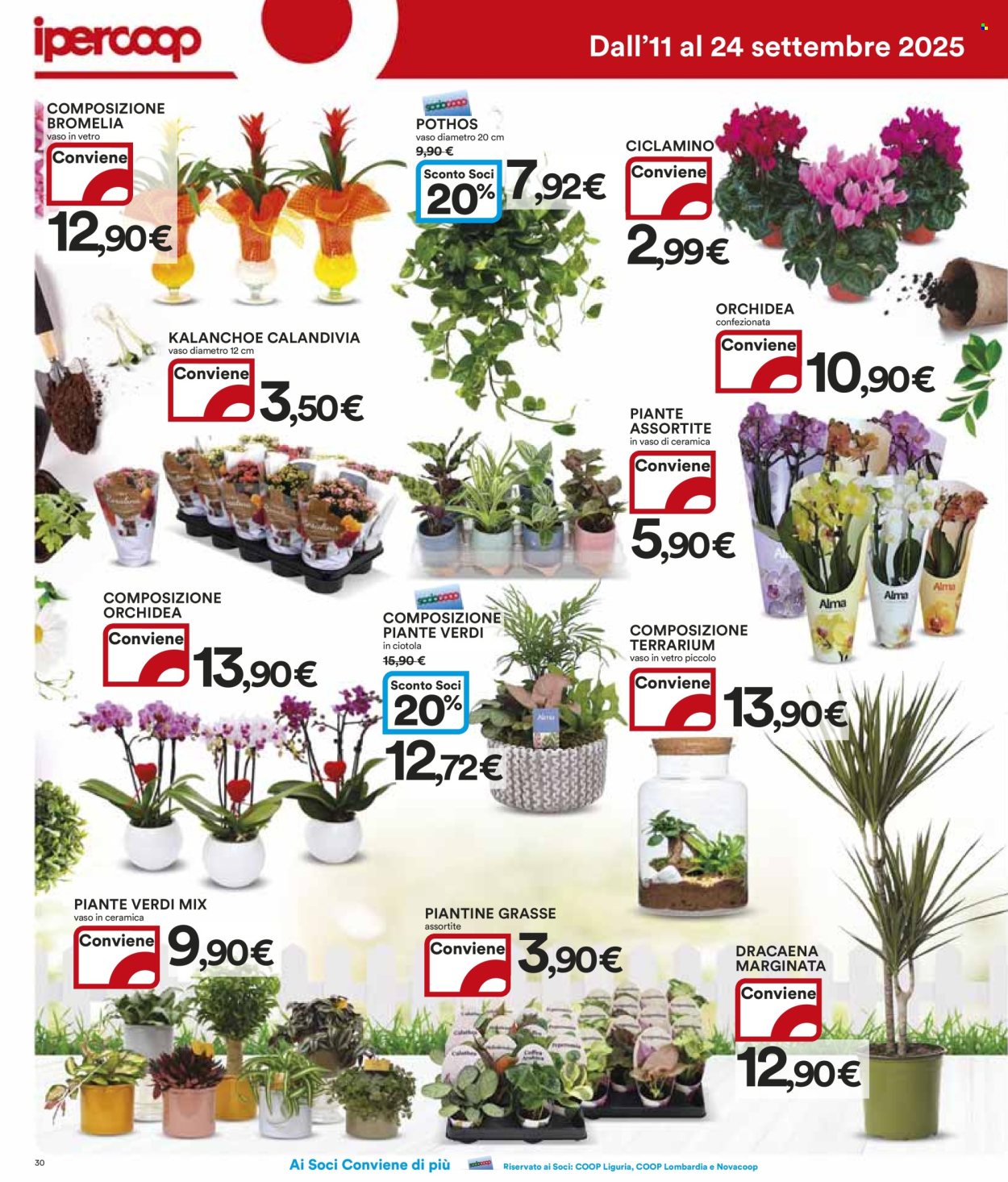 Volantino Coop - 11/9/2025 - 24/9/2025. Pagina 30