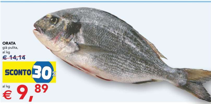 Orata