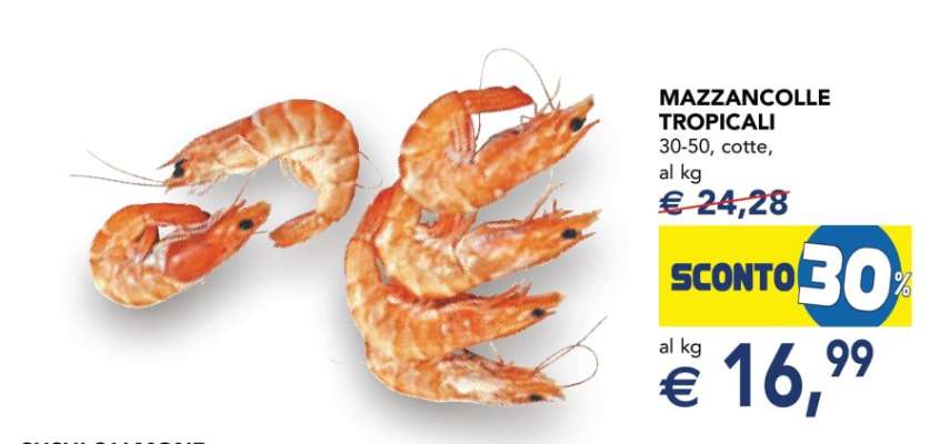 MAZZANCOLLE TROPICALI