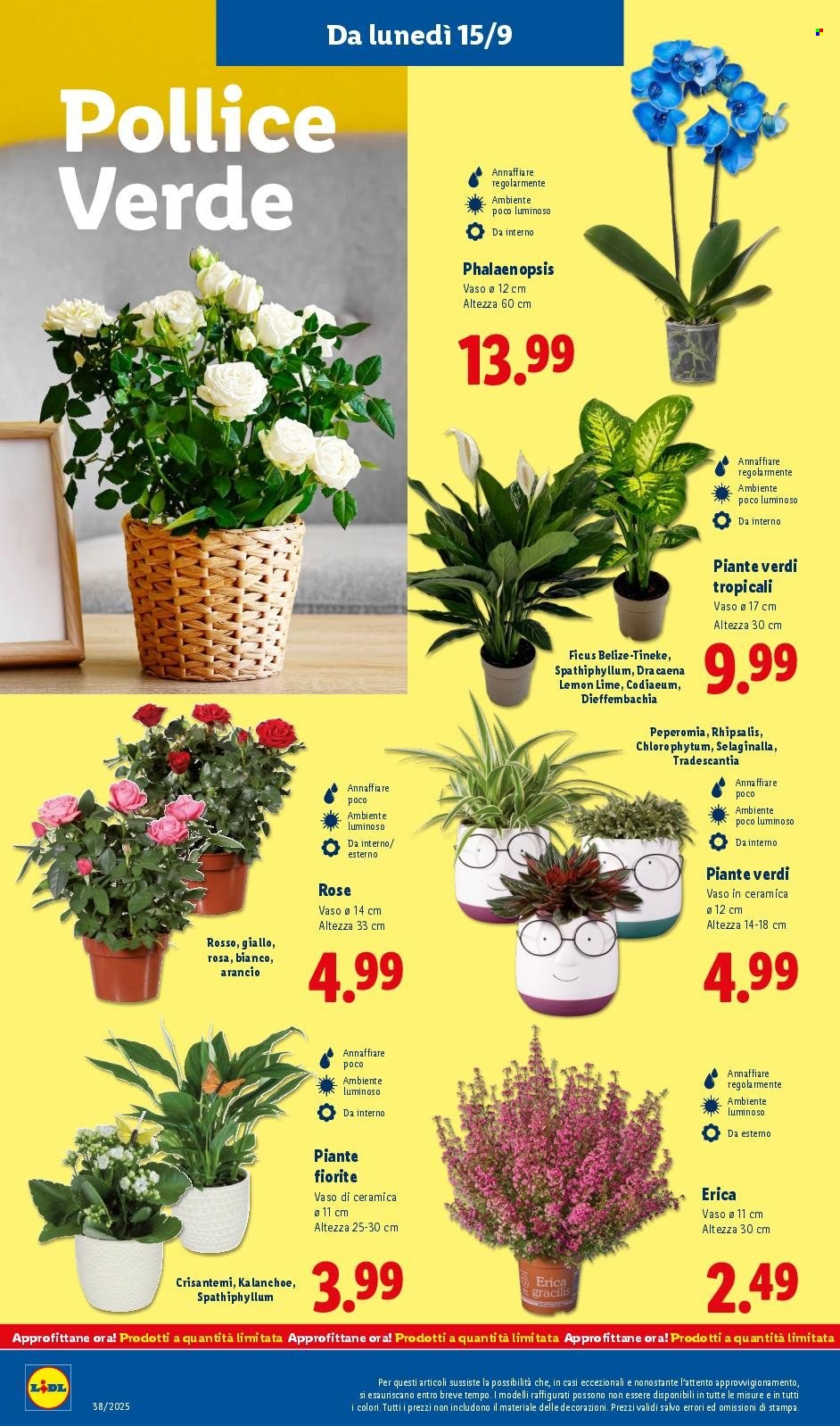 Volantino Lidl - 15/9/2025 - 21/9/2025. Pagina 46