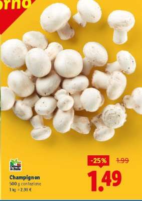 Champignon