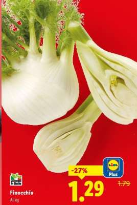 Finocchio