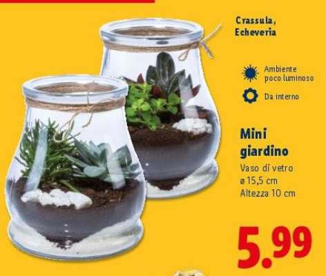 Mini giardino