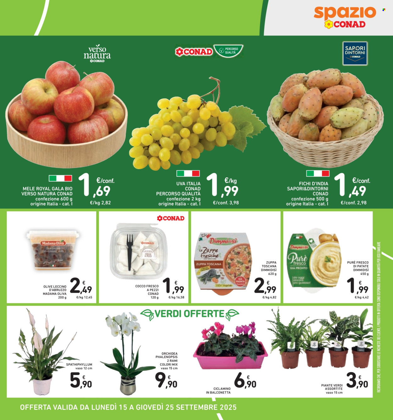 Volantino Spazio Conad - 15/9/2025 - 25/9/2025. Pagina 15