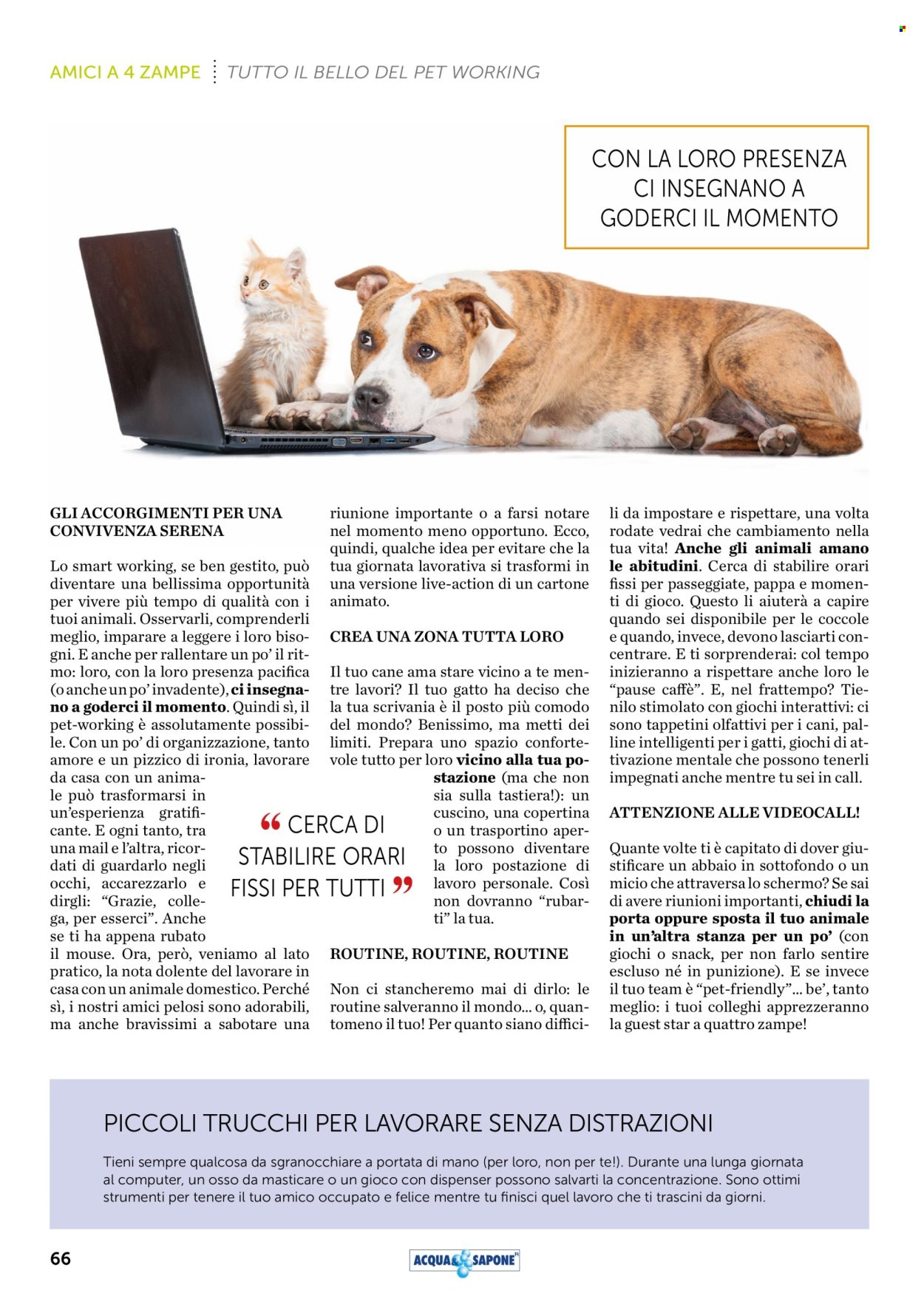 Volantino Acqua & Sapone - 1/9/2025 - 30/9/2025. Pagina 66