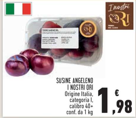 SUSINE ANGELENO I NOSTRI ORI
