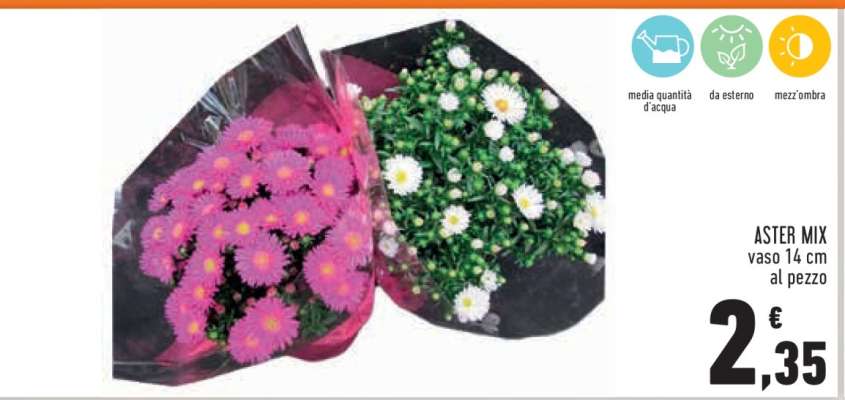 ASTER MIX