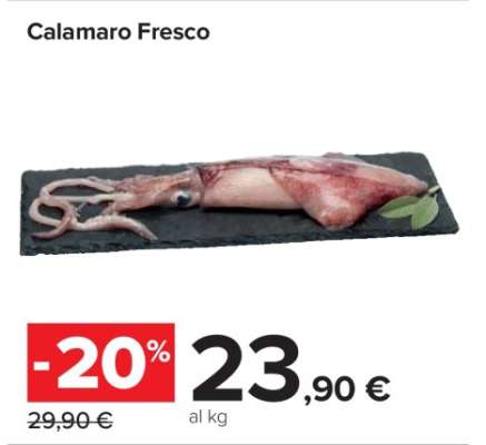 CALAMARO FRESCO