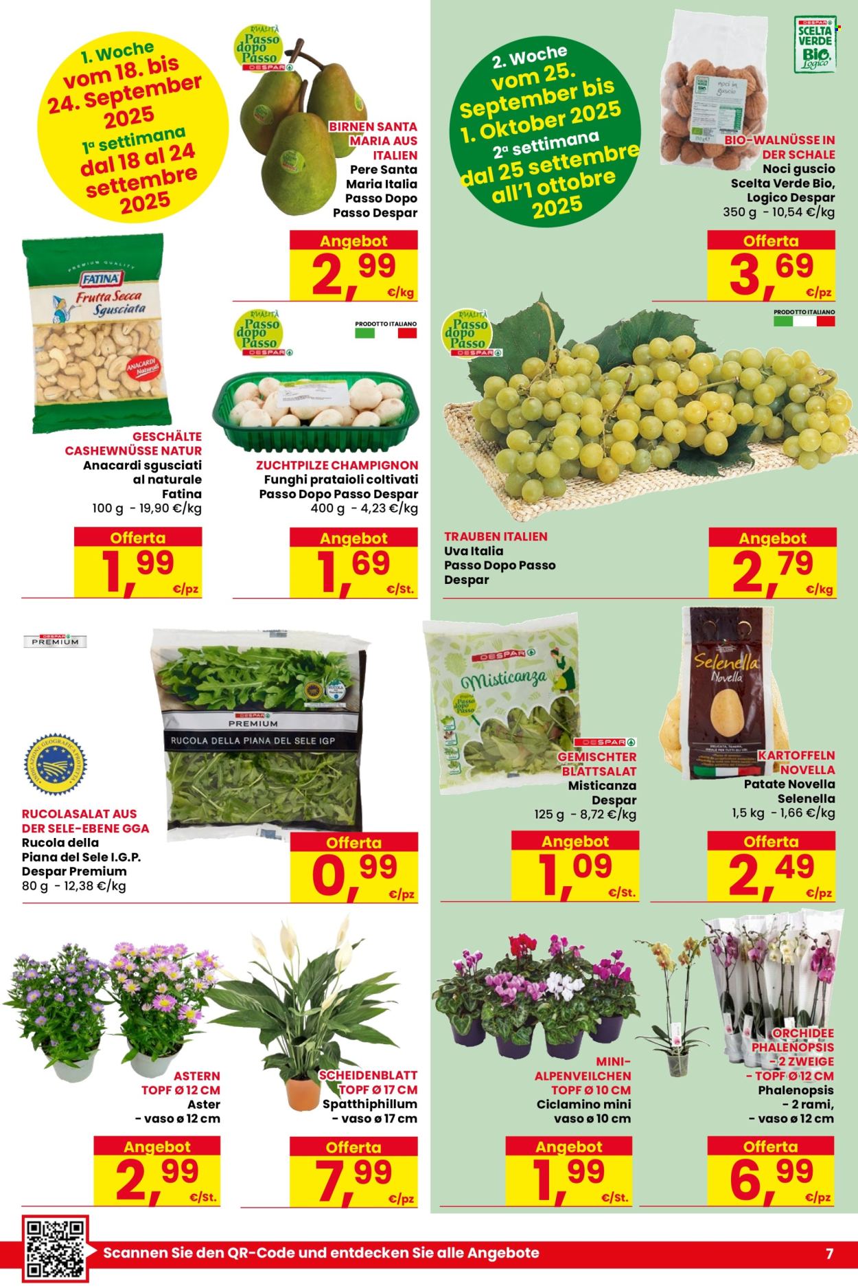 Volantino Despar - 18/9/2025 - 1/10/2025. Pagina 7