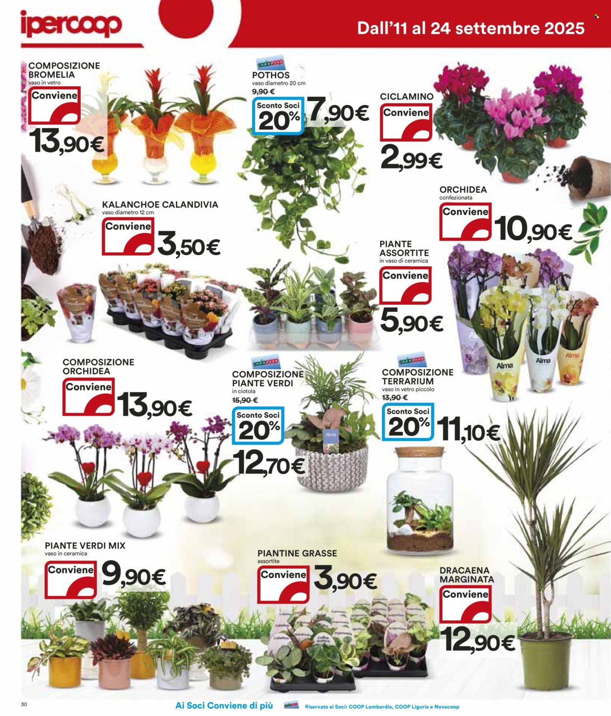Volantino Coop - 11/9/2025 - 24/9/2025. Pagina 30