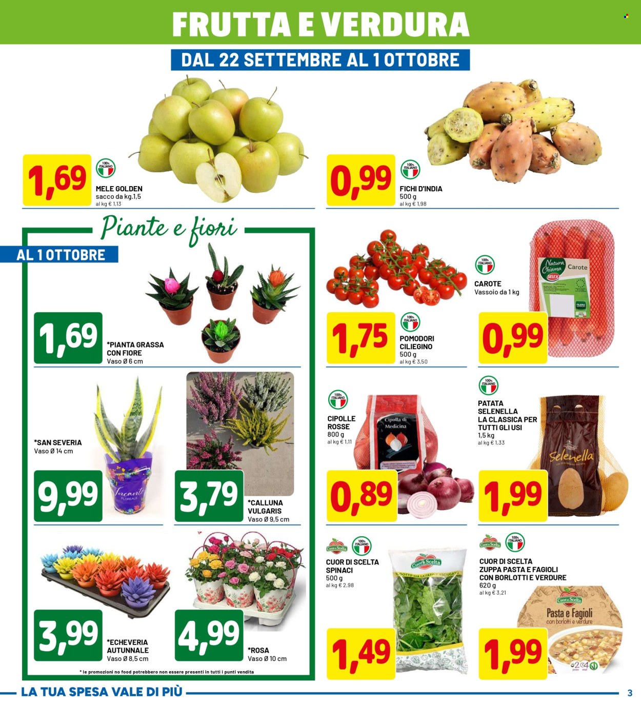 Volantino Dpiù - 15/9/2025 - 1/10/2025. Pagina 3