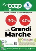 leaflet