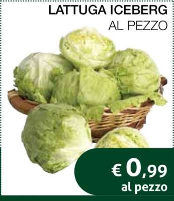 Lattuga Iceberg
