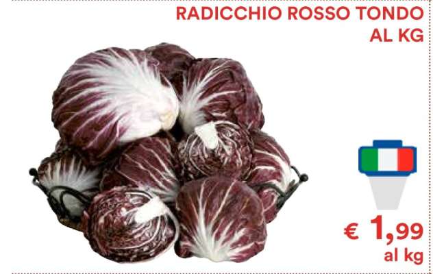 RADICCHIO ROSSO TONDO