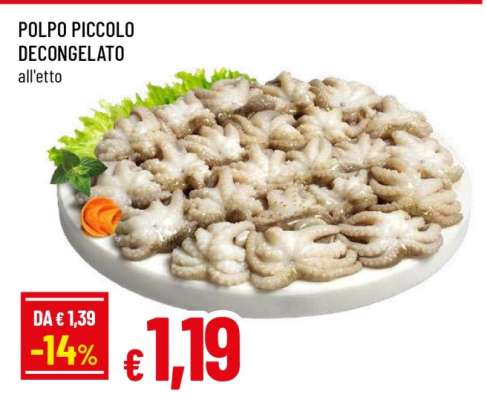 POLPO PICCOLO DECONGELATO