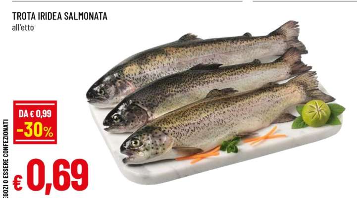 Trota Iridea Salmonata