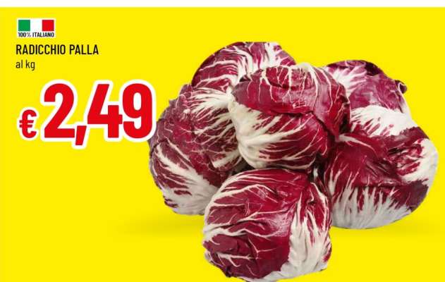 RADICCHIO PALLA